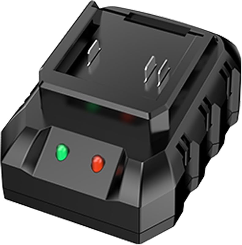 WeGofly 21V Special 1 5A Charger